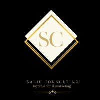 Elmedin Saliu logo - Similar company to Innoconnect Gmbh