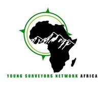 FIG YOUNG SURVEYORS AFRICA logo - Similar company to Isibili Construction