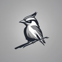 Grey Jay Ltd