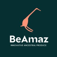 BeAmaz logo - Similar company to Ca Climent