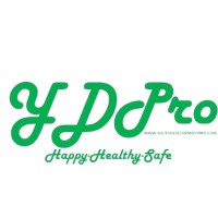 Youth Development Pro logo - Similar company to Tech Valley Game Space