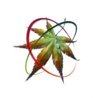 Japan Town Medical Group logo - Similar company to Alpha Omega Epsilon - Beta Upsilon Chapter