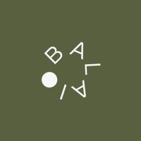 Balaio Arquitetura logo - Similar company to Rua 141