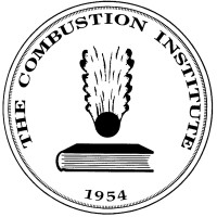 Italian Section of The Combustion Institute - ASICI logo - Similar company to Cnr-Stems