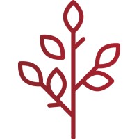 Montara Wealth logo - Similar company to Blue Wealth Property