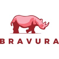 Bravura_jobs logo - Similar company to Vishta Developments