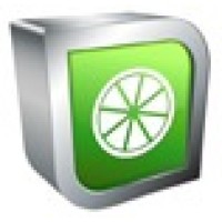 Lime Software logo - Similar company to Limesoft