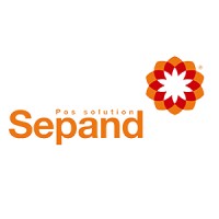 sepandpos logo - Similar company to Techcodeviz