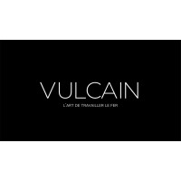 VULCAIN logo - Similar company to Doctorgimo