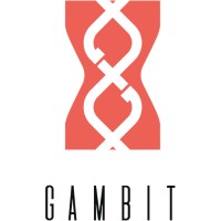 Get Gambit logo - Similar company to Emobay