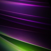 Petroplan logo - Similar company to Hedera Hiring Ltd