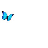 OT Consultants logo - Similar company to Coptic Community Care
