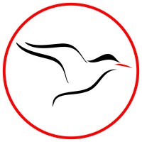 Ciudadanía 101 | Arctern English logo - Similar company to The Process Of Living