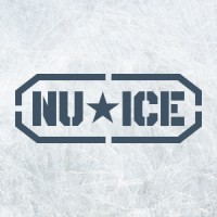 Nu-Ice Dry Ice Blasting logo - Similar company to 3Rd August Ventures