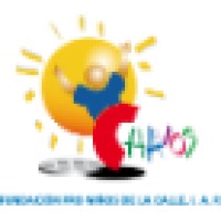 Fundación Pro Niños de la Calle, I.A.P. logo - Similar company to Cemefis