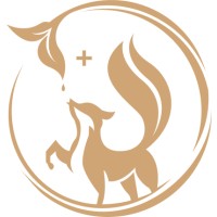 Daji Belle logo - Similar company to Ecosolutions Hub