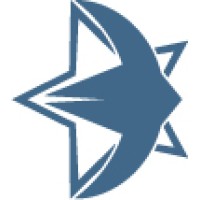 StarSwift Information Security logo - Similar company to Bergerode Consulting