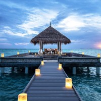 Maldives Hospitality Jobs logo - Similar company to Maldives Jobs