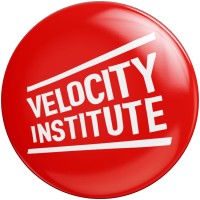 Velocity Institute logo - Similar company to The Vertex Awards