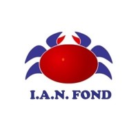 I.a.n. Fond s.r.l. logo - Similar company to Scoungle