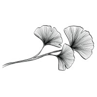 Breanne Goldman ⎸ Women's Holistic Wellness logo - Similar company to The Grapefruit Network
