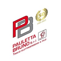 Pauletta Bruno srl logo - Similar company to Azzurro Hd