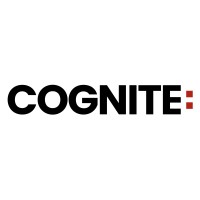 Cognite - South Africa logo - Similar company to Blue Digital