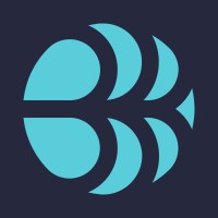Bruinen logo - Similar company to Chargehound, A Paypal Company
