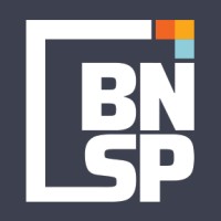 Bold North Strategy Partners, LLC logo - Similar company to Hudu