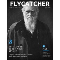Flycatcher Magazine