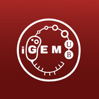 iGEM Barcelona-UB logo - Similar company to Magma, Associació Per Promoure La Recerca Jove