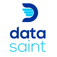 Data Saint logo - Similar company to Zircon It Systems