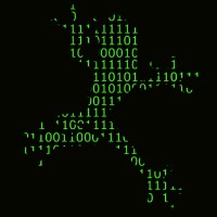 Binary Frog