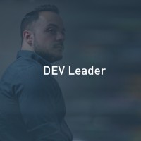 Dev Leader logo - Similar company to Aws High Performance Computing