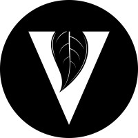 The Vine Church logo - Similar company to Generational Support
