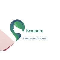 Examera (Shetest) logo - Similar company to Vision Raft