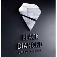 Black Diamond Holding Group logo - Similar company to Webvizion Global