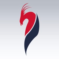 RESURGE logo - Similar company to Insight Raiders
