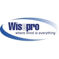 Wisetek Providers, Inc. logo - Similar company to Regency Technologies