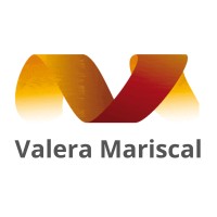 Consultoría de Desarrollo de Habilidades Profesionales e Innovación VALERA MARISCAL logo - Similar company to Fundación Formavigo