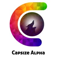 Capsize Alpha logo - Similar company to Bigcapita Securities