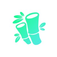 Bamboo Studio logo - Similar company to Veris Behavior