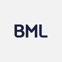 BML Consultores Ltda. - GGI Partners logo - Similar company to Businessit