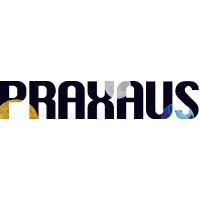 Praxaus logo - Similar company to Unibay