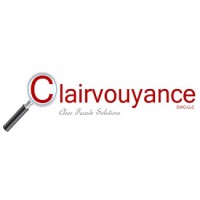 Clairvouyance DWC LLC logo - Similar company to Mindstream Systems Llc