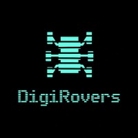 DigiRovers Solutions logo - Similar company to Profuse Services