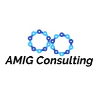 AMIG Consulting, Inc. logo - Similar company to Ami-Web
