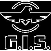 Global import service s.r.o. logo - Similar company to Ascalon Arms