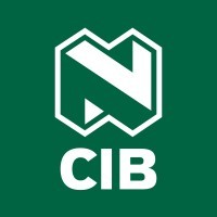 Nedbank Corporate and Investment Banking logo - Similar company to Further