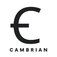Cambrian Defence & Space logo - Similar company to Bit Perspectives
